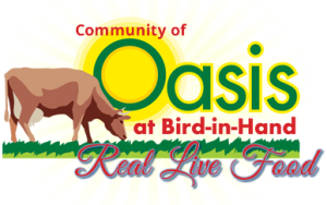 Oasis logo image